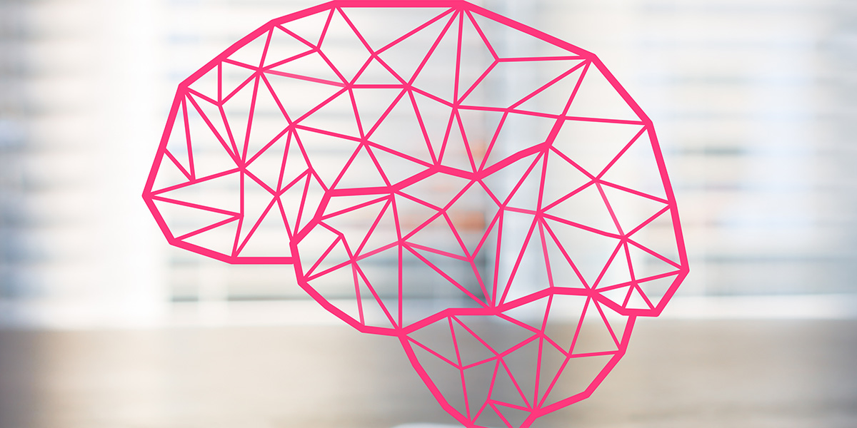 Cérebro, encontramos o que procuramos