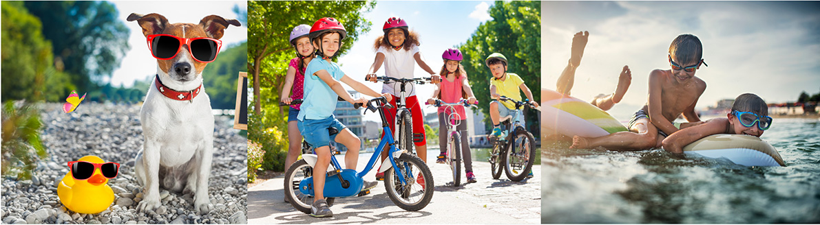 Várias atividades para férias