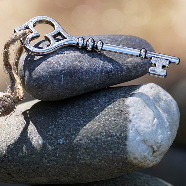 Cérebro, aprendizagem